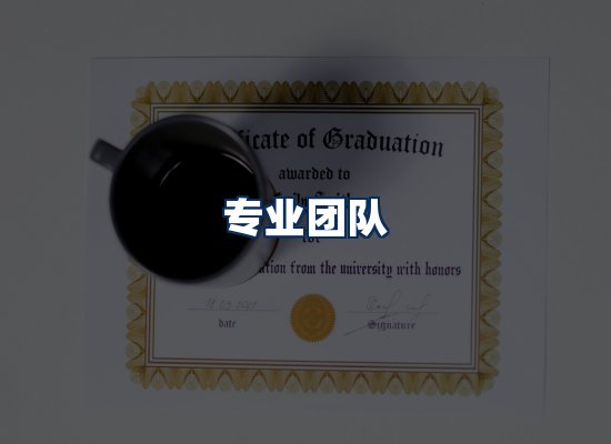 专业团队